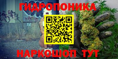 амф Пенза