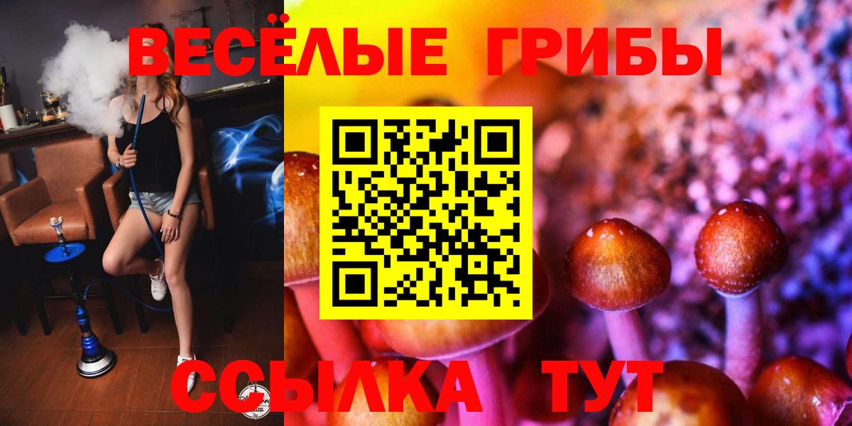 Петрозаводск  купить наркотик  Вход с VPN  Псилоцибиновые грибы Cubensis 